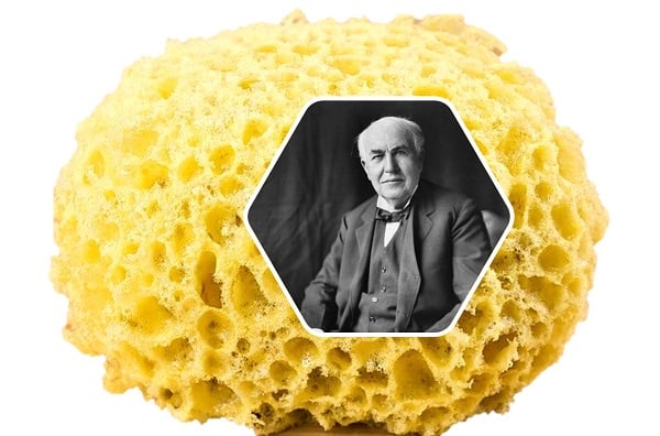 Thomas Edison and sponge